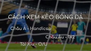 1 cach xem keo bong da Cách đọc kèo bóng đá Châu Á