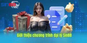 tong quan ve he thong dai ly sin88 Tổng quan về hệ thông đại lý sin88